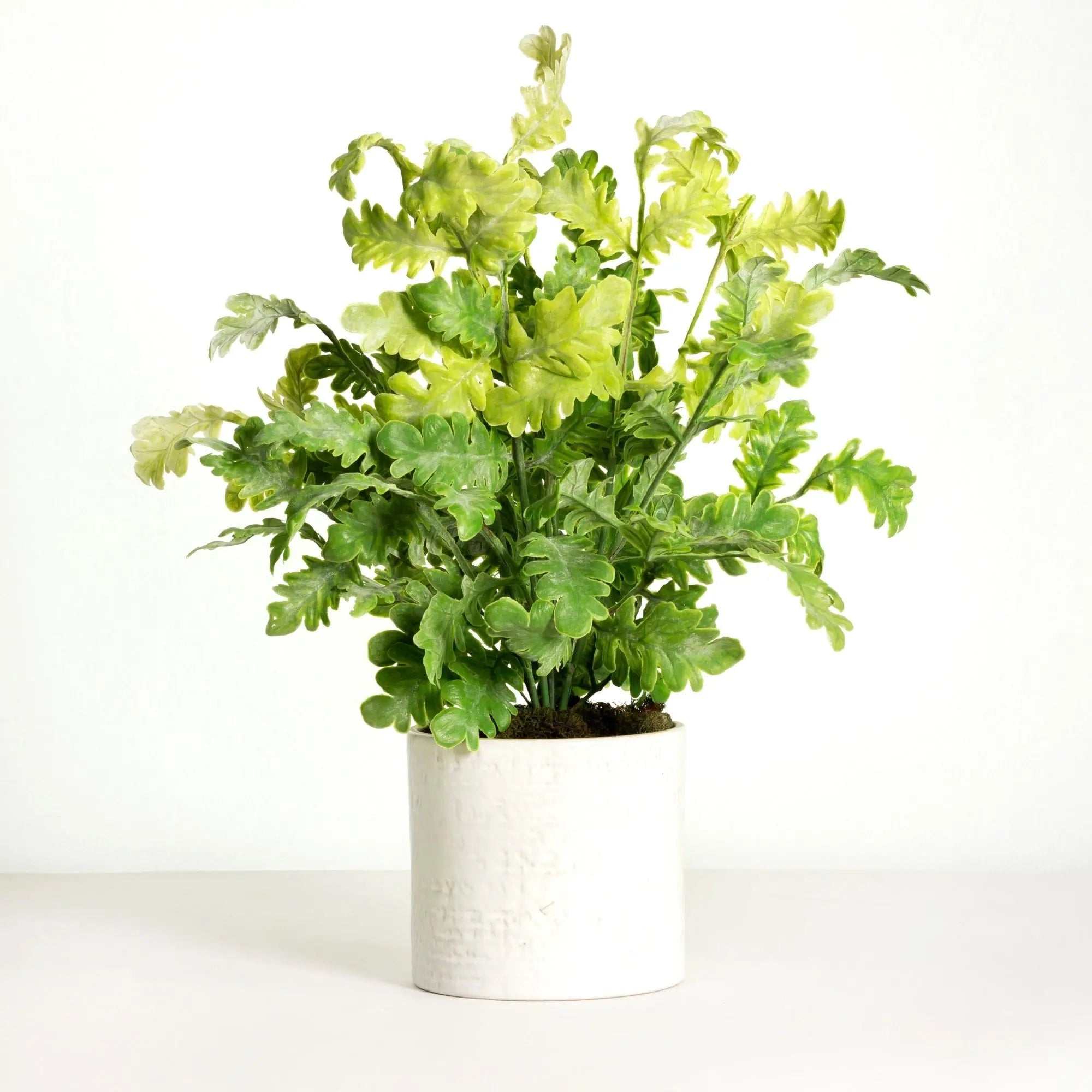 Real-touch artificial plant in chic white ceramic planter - 19"