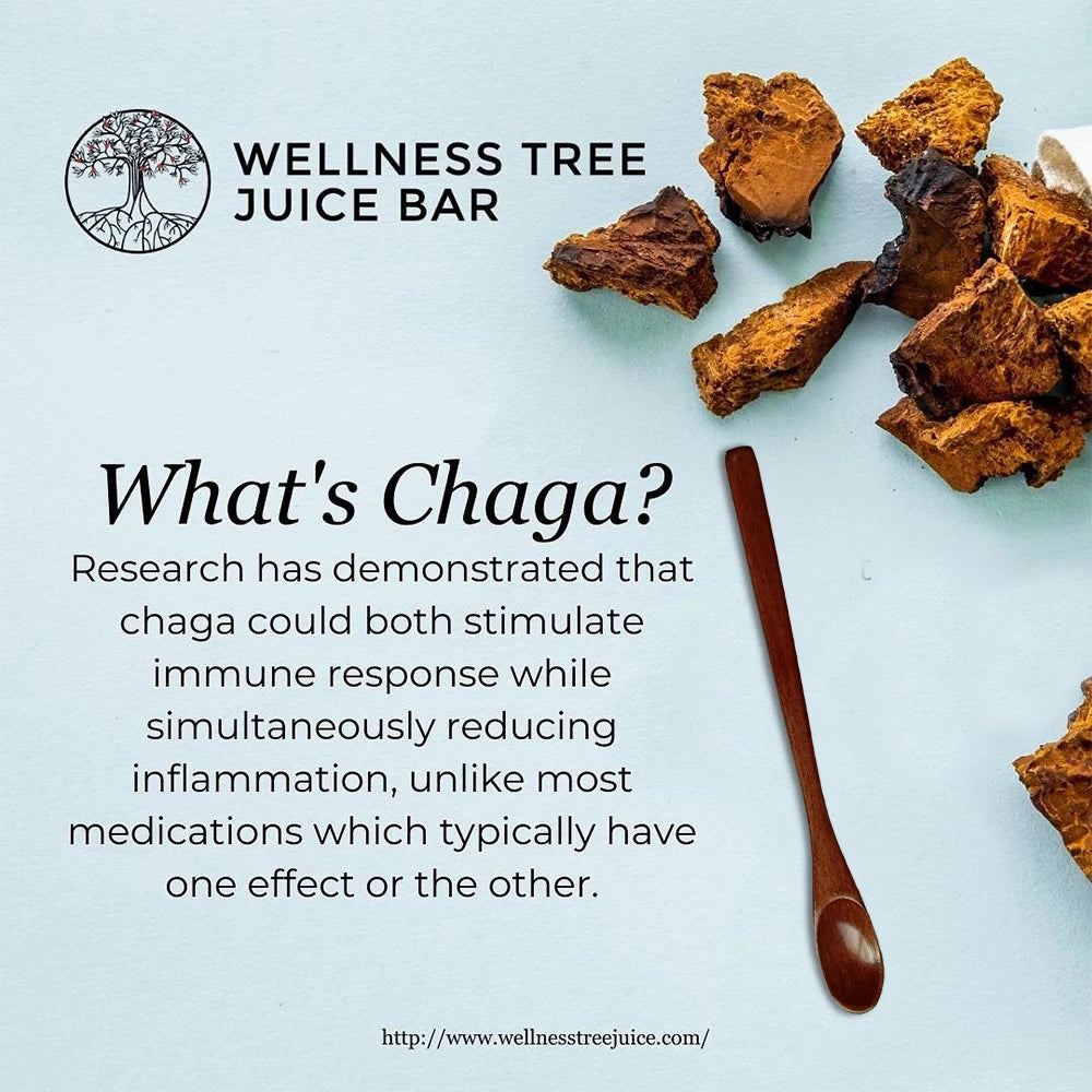 Organic Mushroom Coffee - Shiitake, Cordyceps, Supports Immune, Focus, Concentration, Stress, Digestion & Energy - 1 Pack