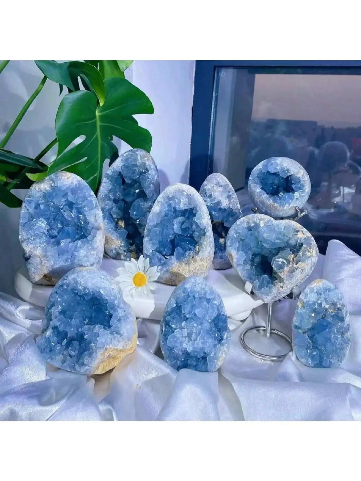 Celesitite crystal clusters for home décor, table décor, DIY, healing Yoga Meditation Office Decor