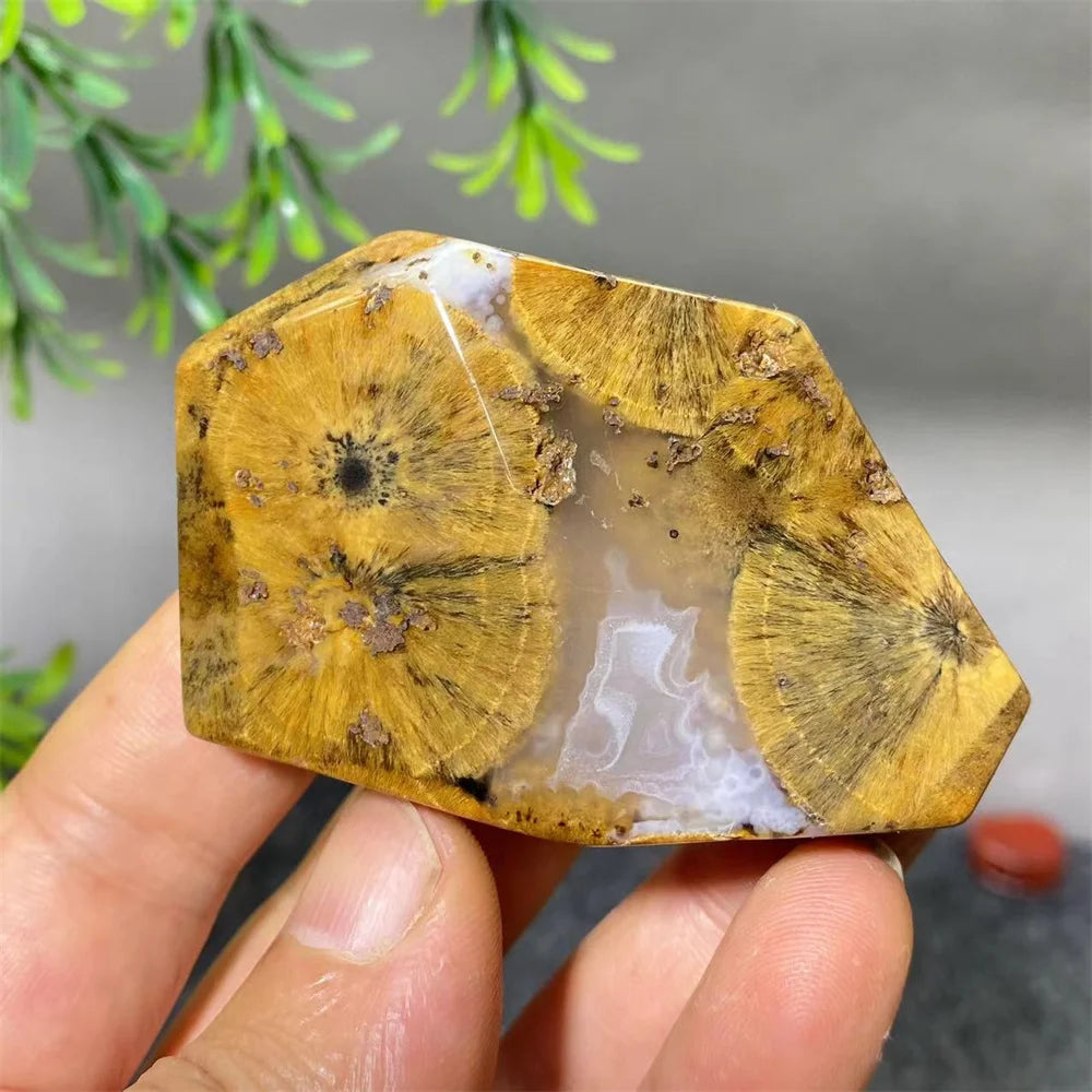 Crystal Natural Hair Agate Slab Polyhedron Quartz Minerals Home Decoration Stone Reiki High Quality Beauty Healing